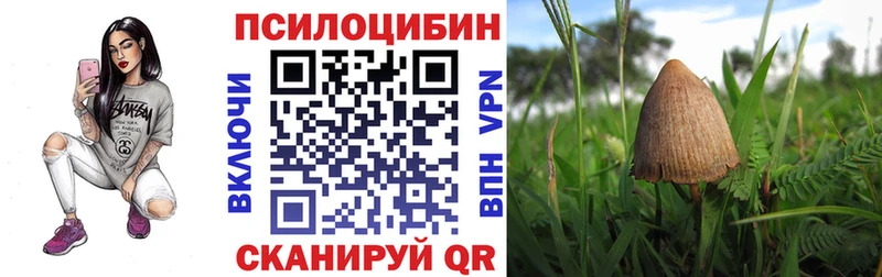 Псилоцибиновые грибы MAGIC MUSHROOMS Нелидово
